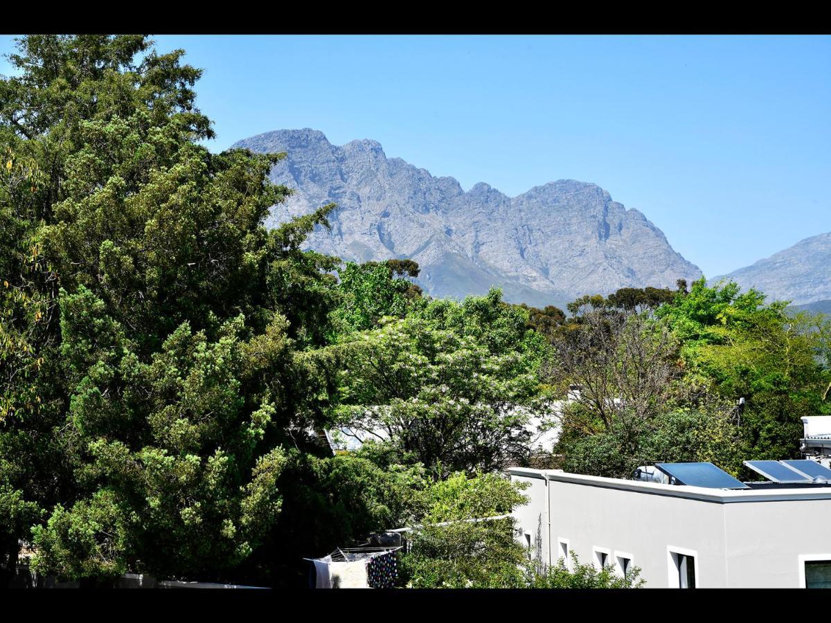Small Wonder Franschhoek Exterior photo
